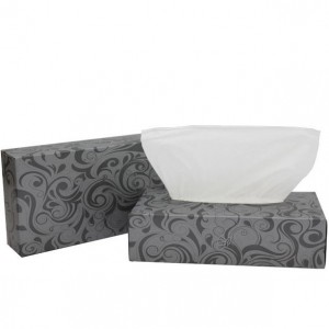 Χαρτομάντηλα facial LUX 2ply FSC
